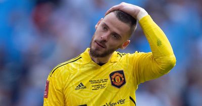 Manchester United might need David de Gea gamble as David Raya makes transfer plea