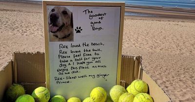 West Country beachgoers in tears at unbelievably kind gesture