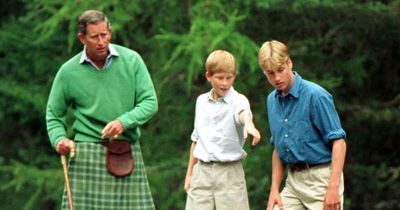 Harry and William pose with Charles in sweet Father's Day tribute to 'dads everywhere'