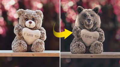 Get ‘beary’ creative with cute composites in Affinity Photo
