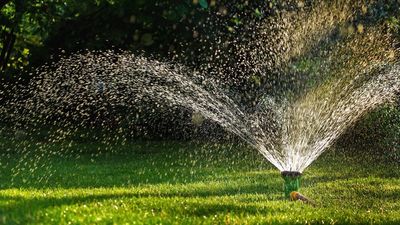 How long should you water your lawn for? Lawn care experts advise on the correct timings