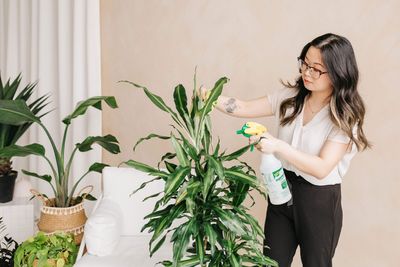 Meet the ‘planterior designer’ reviving workers’ Zoom backgrounds with plant walls and greenery