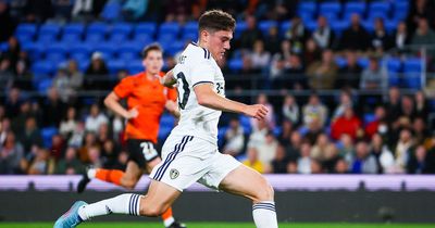 Two Leeds United manager candidates who could help Dan James realise his potential at Elland Road