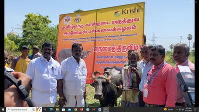 Buffalo mela held to highlight value-added dairy product and reduce calf mortality in Tiruvallur