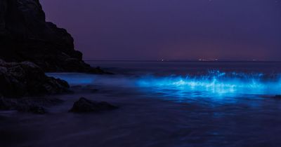 UK beaches create natural blue light show - leaving locals baffled by unusual sea colour