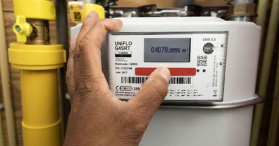 The exact date you should take a meter reading before the energy price cap changes