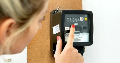 Exact date households MUST take a meter reading ahead of energy price cap changes