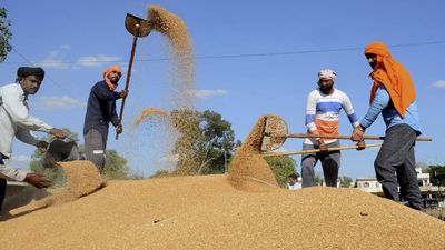 States look for alternative ways to buy foodgrains as Centre restricts open market sale scheme