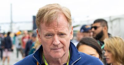 NFL commissioner Roger Goodell joins team principals in meeting with F1 chief