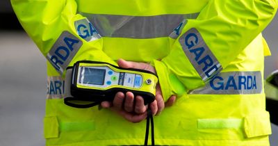Garda claims roads policing officers are blowing into breathalysers themselves and recording it as a checkpoint