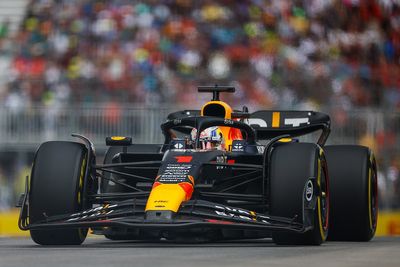 Bird was entangled in Verstappen's F1 car for Canadian GP