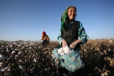 Fashion Industry Fails To Address Cotton Sustainability