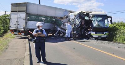 Japan crash: Pigs strewn across road after huge accident kills five and injures 12
