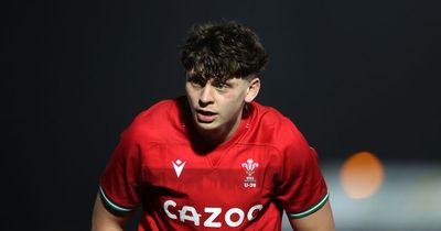 Wales find a fearless young leader who expects to beat New Zealand and stun the critics