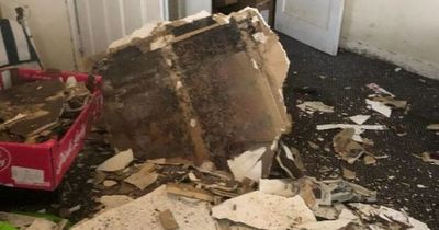 Students claim they had to flee their mouldy rented house after the ceilings collapsed twice