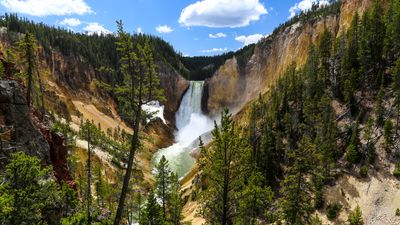 Yellowstone tourist dodges safety barriers to lead child to brink of raging waterfall