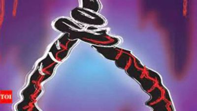 Father takes away mobile phone, Class XI girl ends life in Gujarat's Morbi district