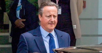 David Cameron heckled 'shame on you' after defending Tory cuts at Covid Inquiry