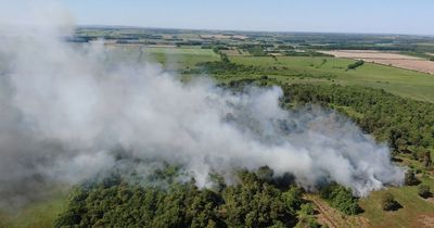 Huge wildfire near Newcastle Airport almost out after five days of burning as public issued warning