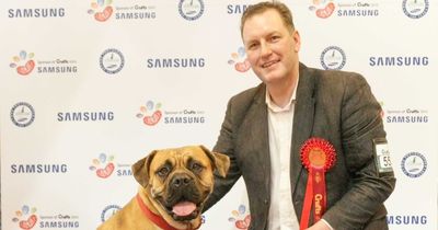 Arnold couple who illegally bred dogs feel 'misled by council' and are set to relocate