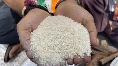 Punjab steps in to help Karnataka with its free rice scheme