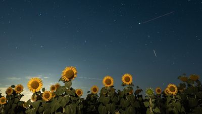Summer solstice 2026: When does summer start in the Northern Hemisphere?
