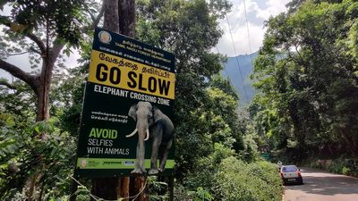 Hunt for alternative land for Govt. Horticulture Farm obstructing Kallar elephant corridor reaches nowhere