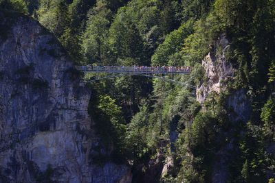 American woman who survived being thrown into ravine near German castle is released from hospital