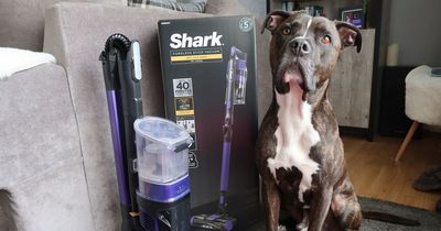 Shark cordless vacuum makes light work of fur and is perfect for busy pet owners