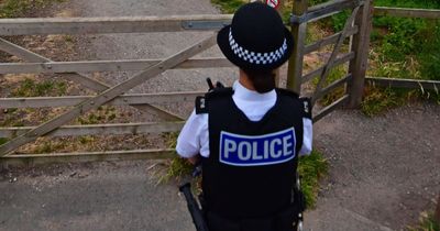 Four teenagers arrested after violent scenes at GCSE celebrations
