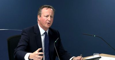 Covid Inquiry: What we learned on the day austerity PM David Cameron gave evidence