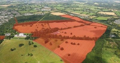 Petition aiming to preserve biodiverse Kildare area launched after 'land poisoned' sign pops up