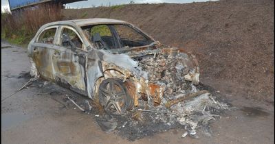 Dog walker finds burned out Mercedes used in shooting of Elle Edwards