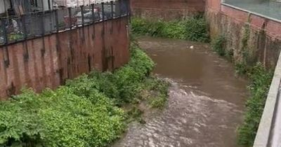 'You can definitely smell it': United Utilities admits 'overflow' as sewage dumped into river after system reaches capacity