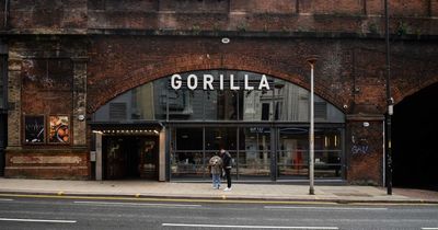Gorilla announce 'exciting news' after shock closure