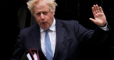 Tories turn on Boris Johnson and back damning Partygate report