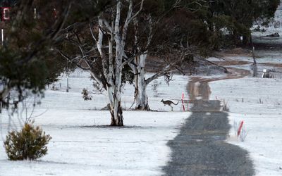 Australia shivers, with cold snap set to continue