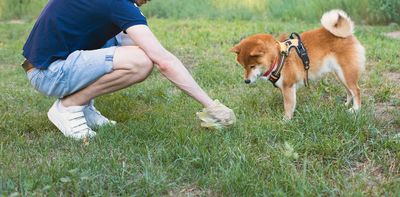 Is leaving dog poo in the street really so bad? The science says it’s even worse than you think