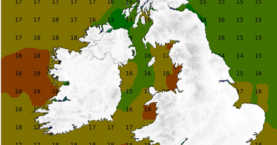 Climate crisis: Surface sea temperatures around Ireland reach record breaking heights