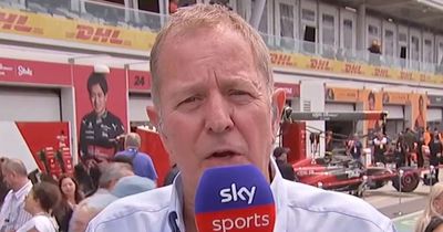 Martin Brundle makes Lewis Hamilton and Max Verstappen claim amid "volatility" fears