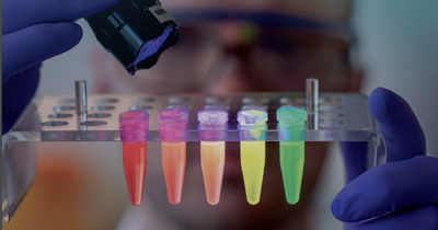 Nanoco's shareholders set for pay out of up to £40m after Samsung settlement