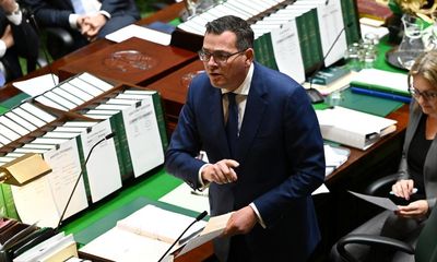 Daniel Andrews refuses to apologise for calling Liberal MP Cindy McLeish a ‘halfwit grub’