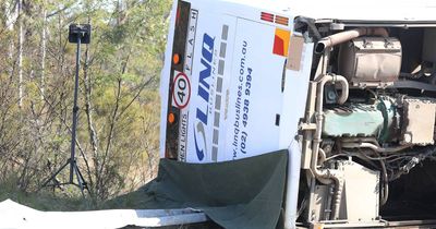 Greta crash: Bus safety inquiry announced as groom's father calls for stricter seat belt laws