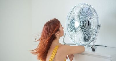 Wowcher slashes cost of fans and air coolers - how to claim deals