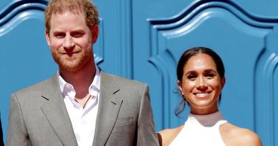 Harry and Meghan dubbed as 'spoiled royals' who are 'afraid of hard work' by expert