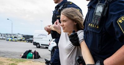 Greta Thunberg won't be at Freedom of Dublin award ceremony after controversy