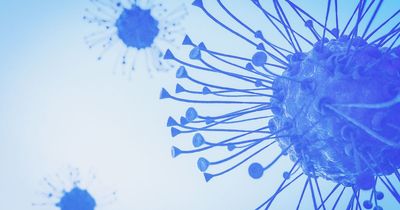 Bowel cancer mystery solved as Scottish discovery could prevent disease