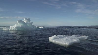 Explained | Arctic Ocean could be ice-free in summer by 2030s, say scientists