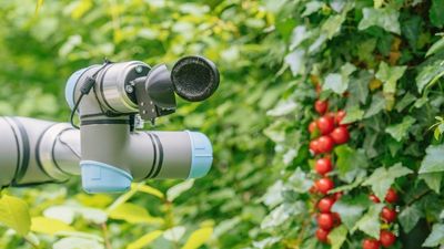 AI-Designed Robot Makes Tomato Harvesting More Efficient