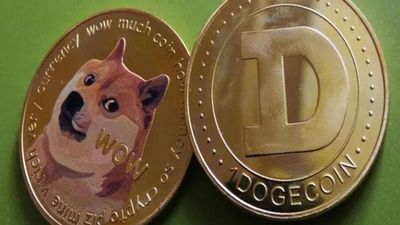 Elon Musk Denies Owning Dogecoin Amid Price Manipulation Lawsuit